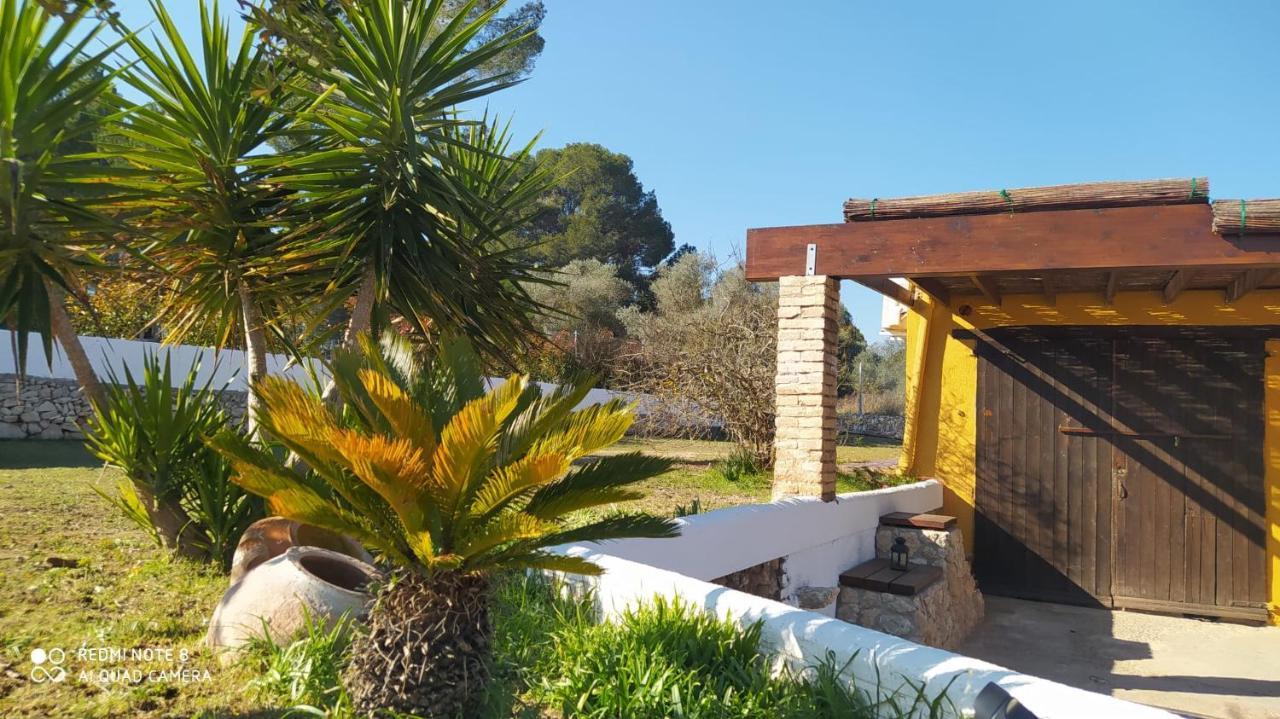 Casa Con Vistas, Piscina Y Animales De Granja, La Caseta 塔拉戈纳 外观 照片