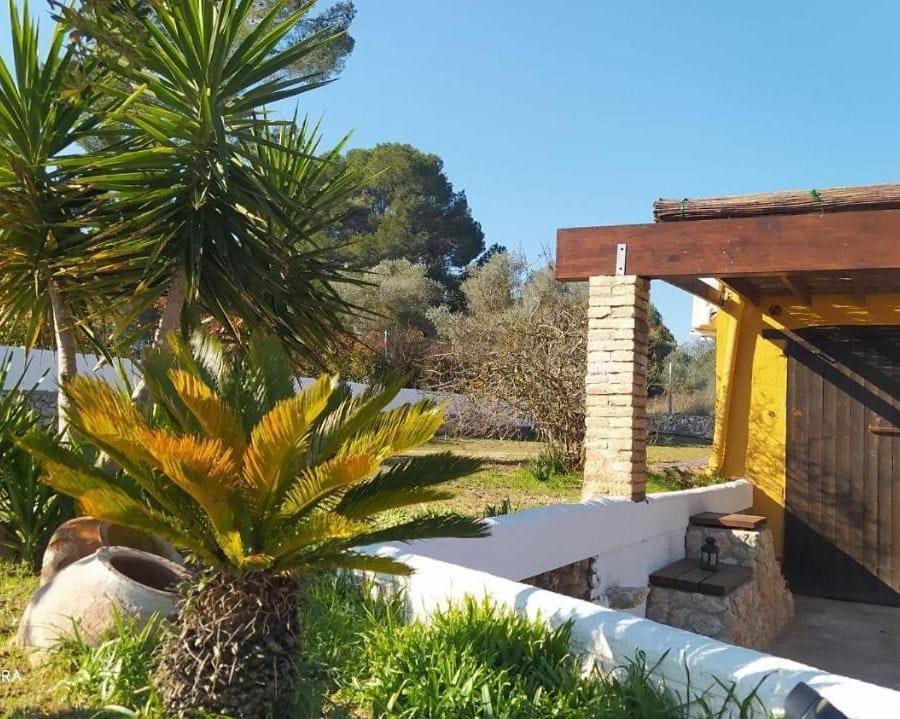 Casa Con Vistas, Piscina Y Animales De Granja, La Caseta 塔拉戈纳 外观 照片